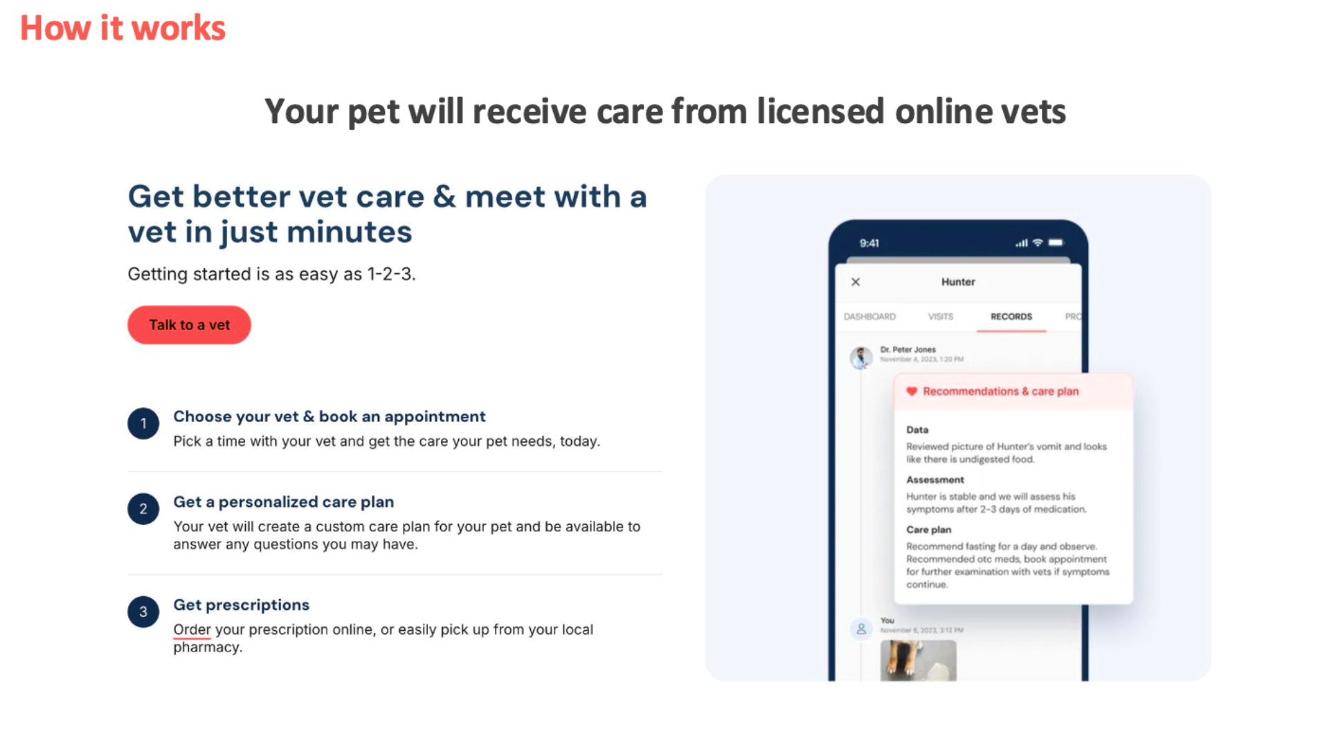 Your pet will receive care from licensed online vets slide