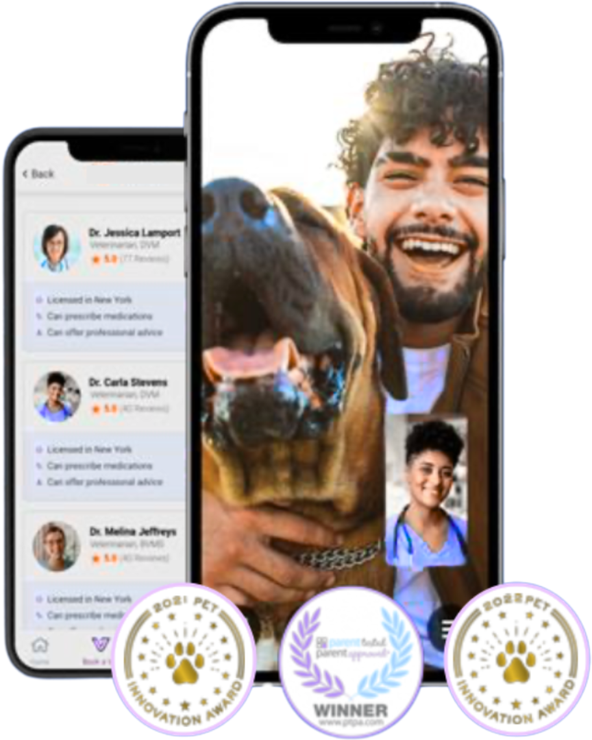 Pet parent using TeleVet on phone